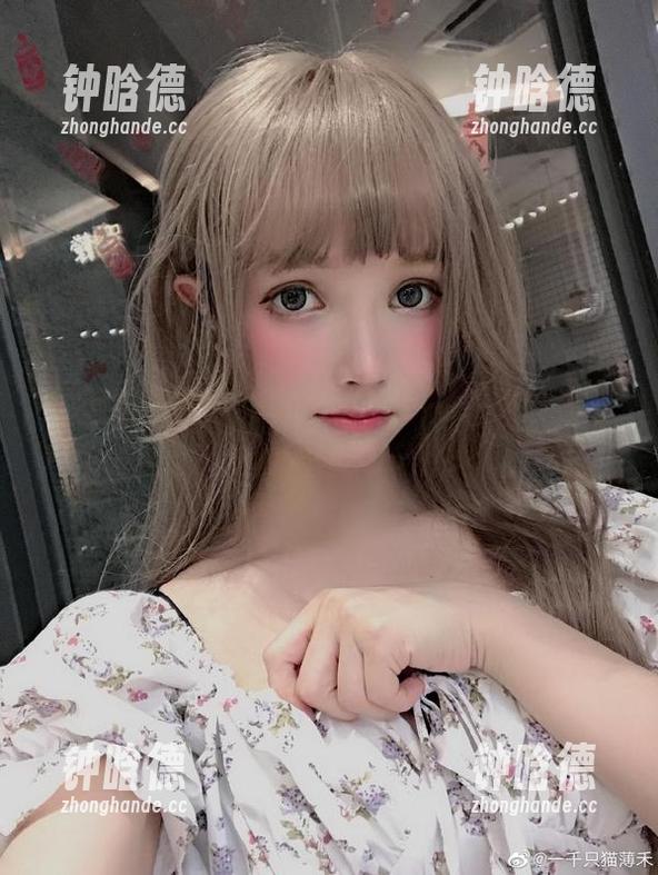 一组最新的魔女安洁图片，一千只猫薄禾又给我们怎么玩的？