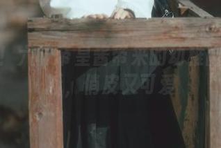 快来看！六味帝皇酱带来的幼稚园写真更新，俏皮又可爱