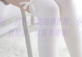 森萝财团 – 月下09的超棒原图，小夜的独特腔调，全部免费哦！