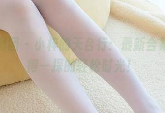 森萝财团 – 小梓的天台行：最新合集，值得一探的轻松时光！