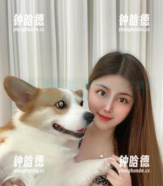 海豚baby 微密圈 - 免费下载,海豚baby的女孩合集直接上你的“喜欢”